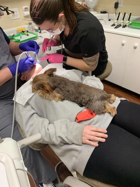 Photo of Rooster the therpay dog at Deer Creek Dental